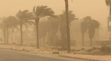 طقس مائل للدفء نهارًا وبارد ليلًا مع نشاط للرياح يوم الأحد المقبل